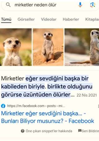 Gönderi görseli